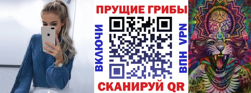 сколько стоит  Сургут  Псилоцибиновые грибы мухоморы 