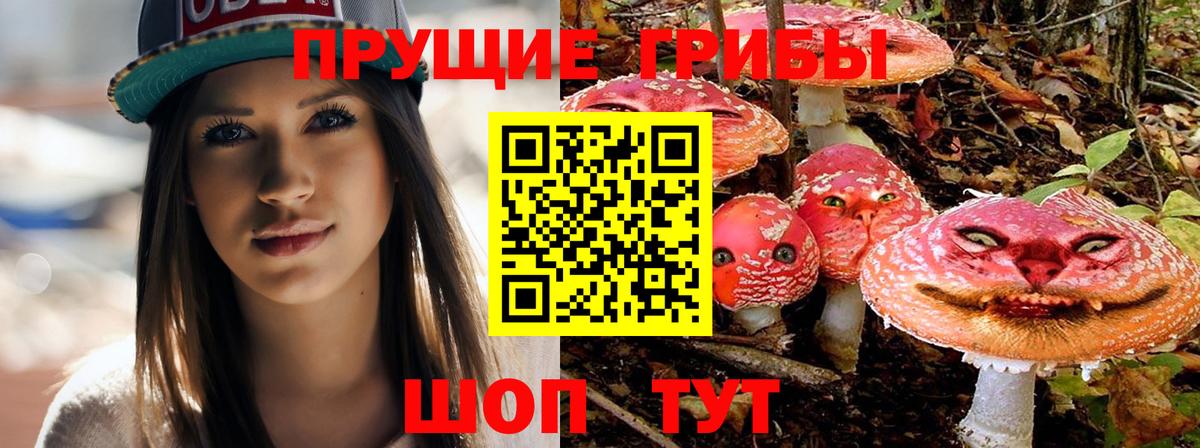 Галлюциногенные грибы ЛСД  Вход с VPN  Сургут 