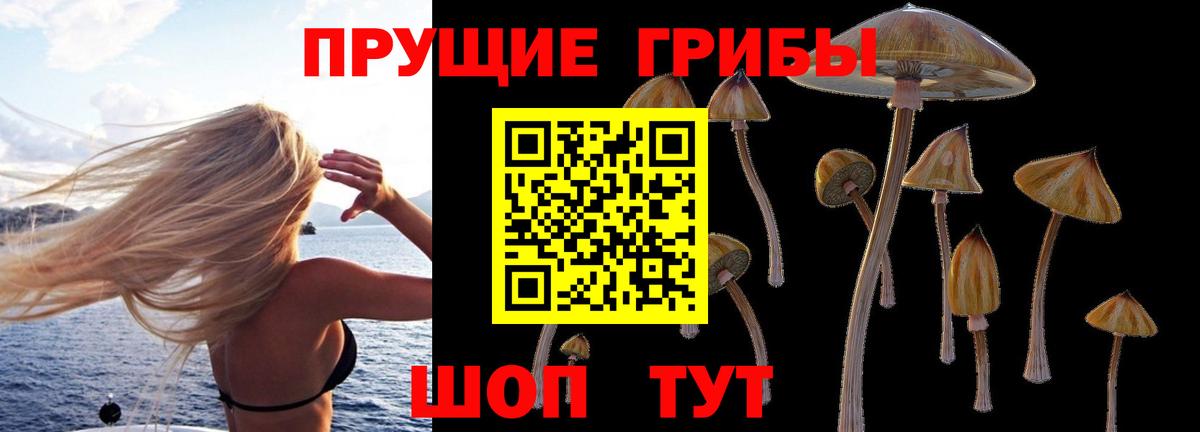 Псилоцибиновые грибы мицелий Сургут